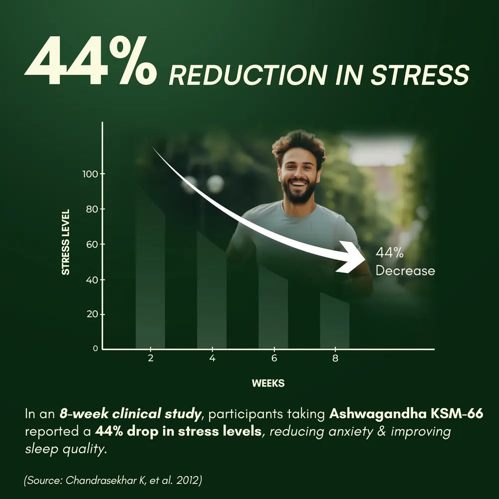 Ashwagandha KSM-66 and Magnesium for Complete Mind–Body Reset - Image 4