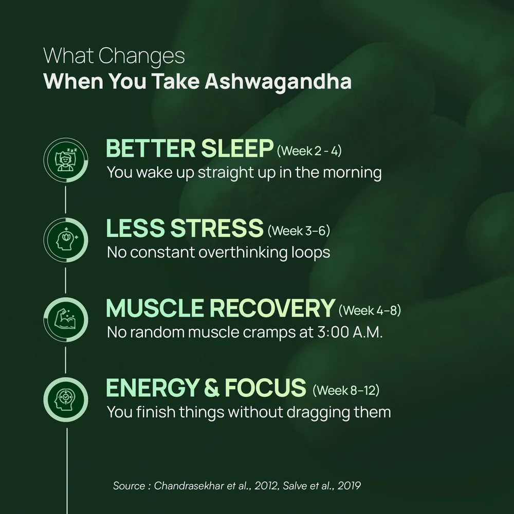 Ashwagandha KSM-66 (600 mg) - Image 5