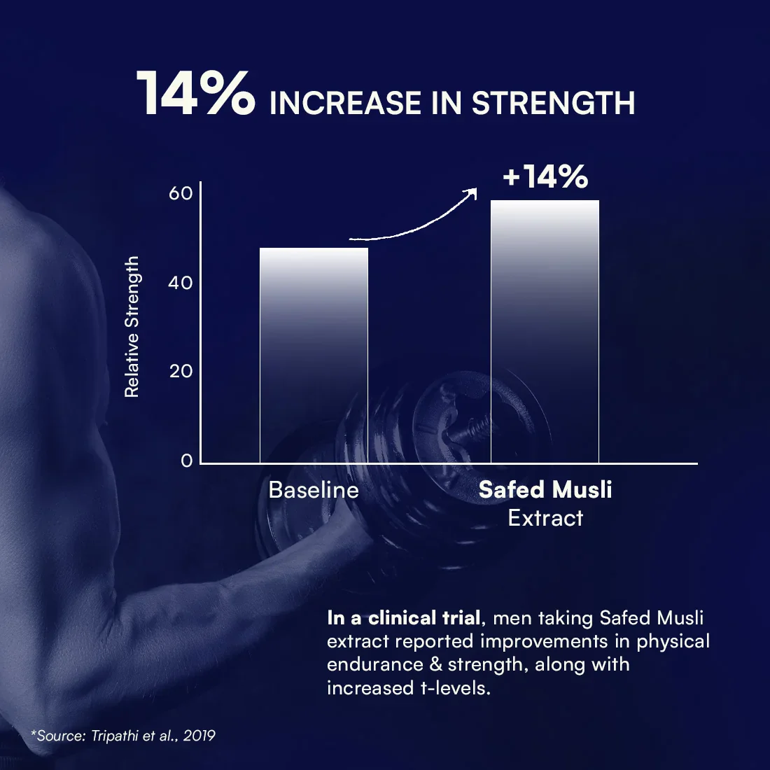Multivitamin for Men and Testoboost Combo for 360° Wellness & Stamina - Image 5