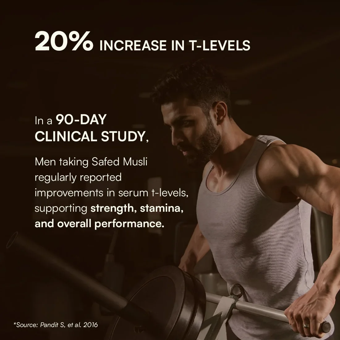 Multivitamin for Men and Testoboost Combo for 360° Wellness & Stamina - Image 6