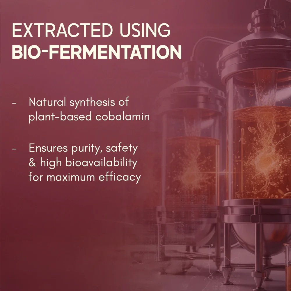 Plant-based Vitamin B12 - Image 4